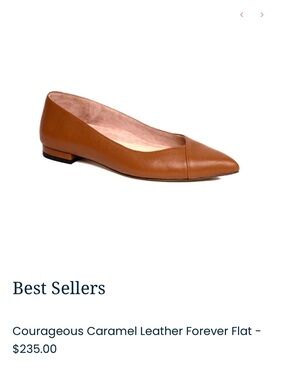 Ally Shoes- Women’s Pointed Toe Leather Flat in Caramel